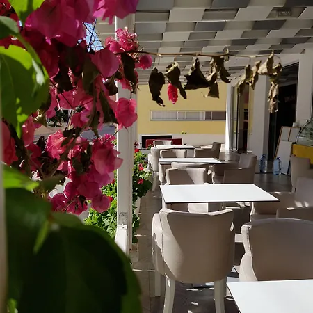 Hotel Primavera 호텔